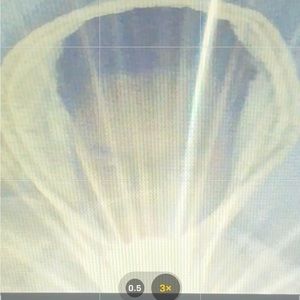 Meet your Posher, Zachary